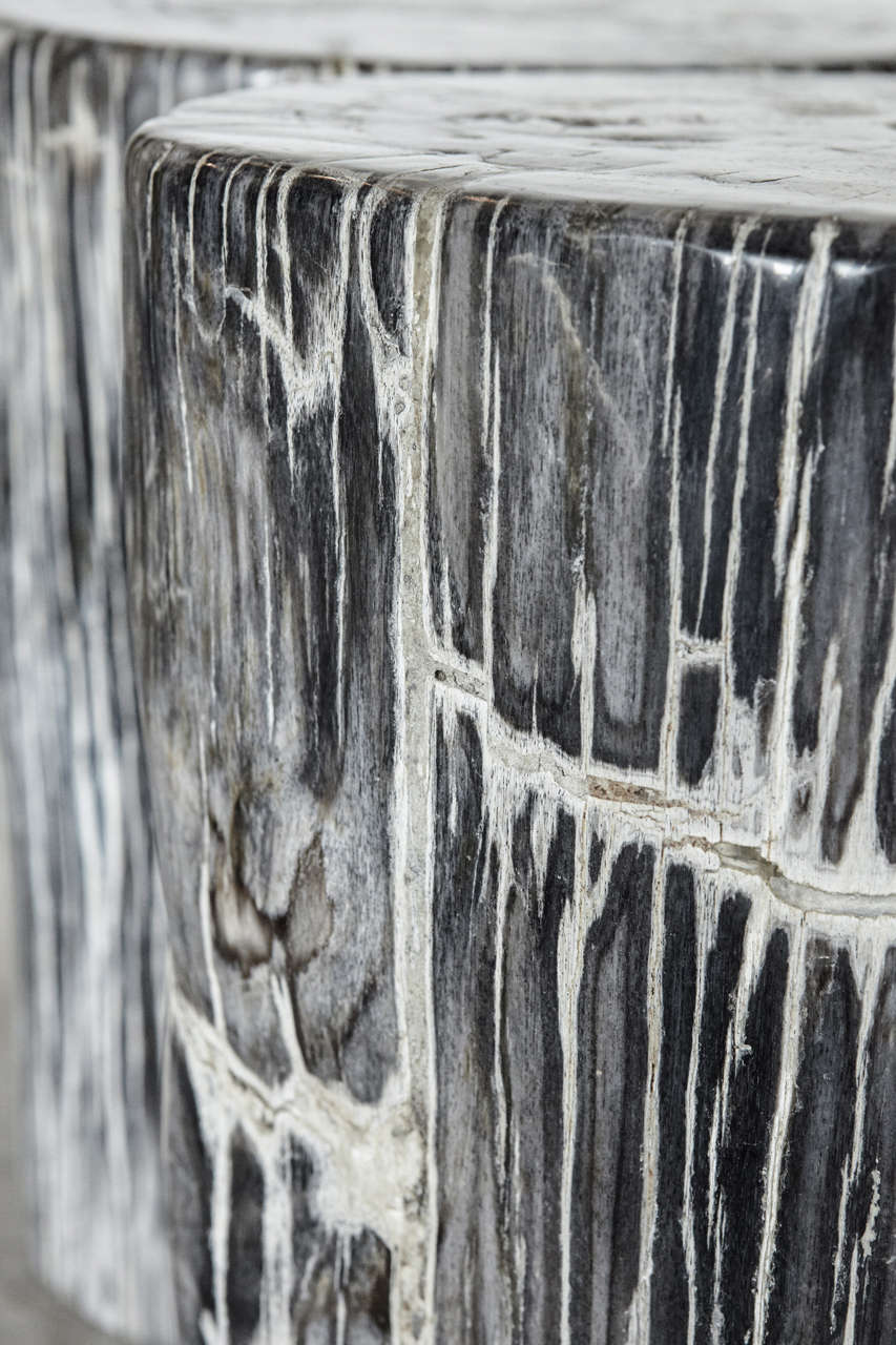 petrified wood stools for sale