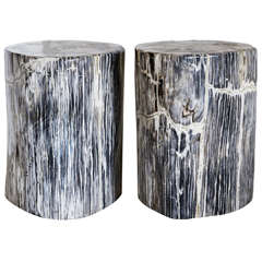 Petrified Wood Stools