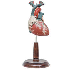 Vintage Clay & Adams Inc Medical Heart Model