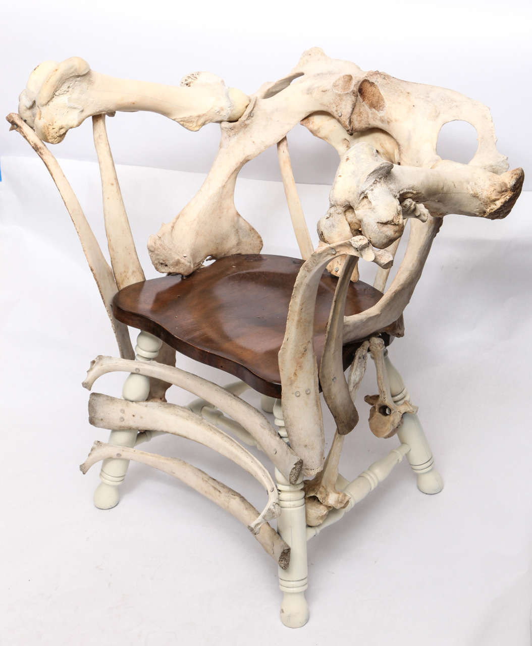 A modernist sculptural chair crafted of cow bones.