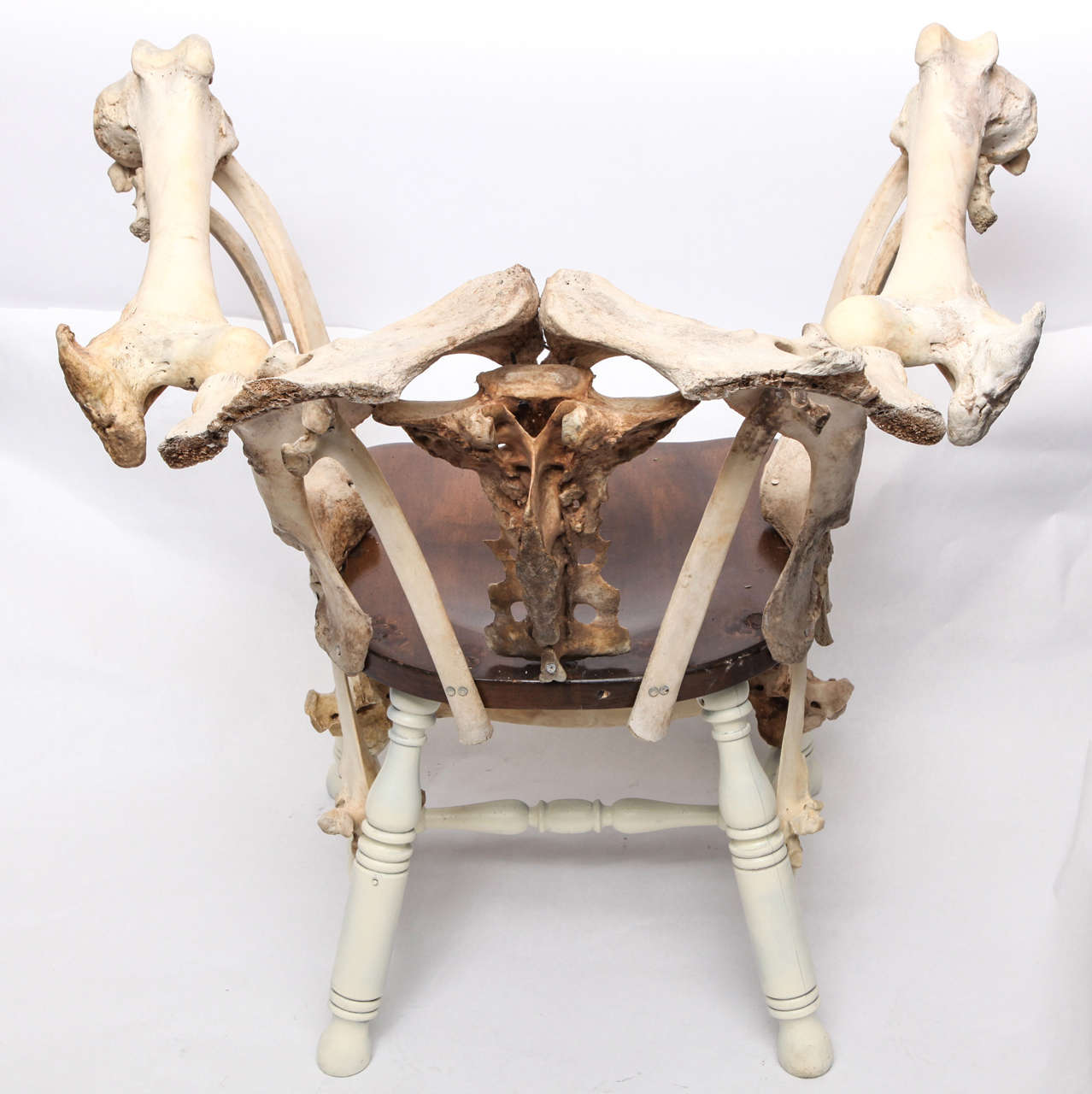 bones chair