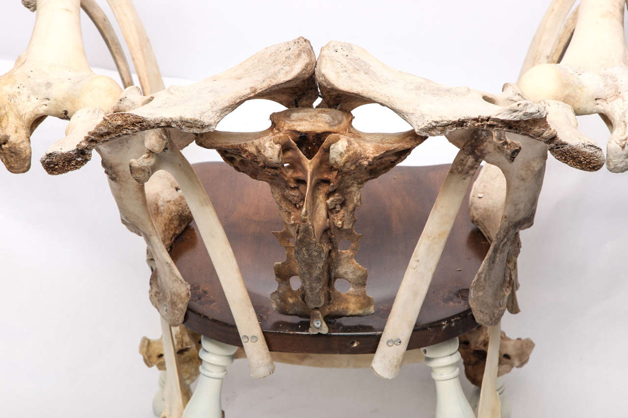 Late 20th Century Modernist Sculptural Chair Crafted Out of Cow Bones