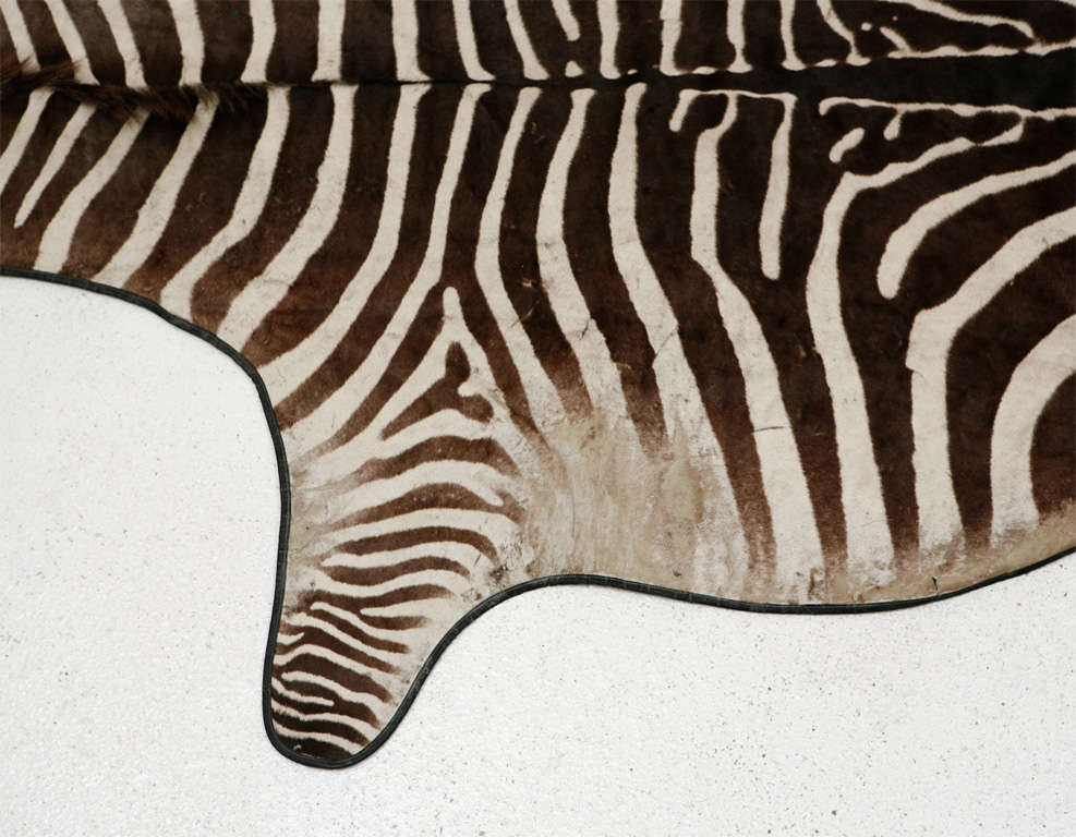 Exotic Brown Striped Zebra Hide