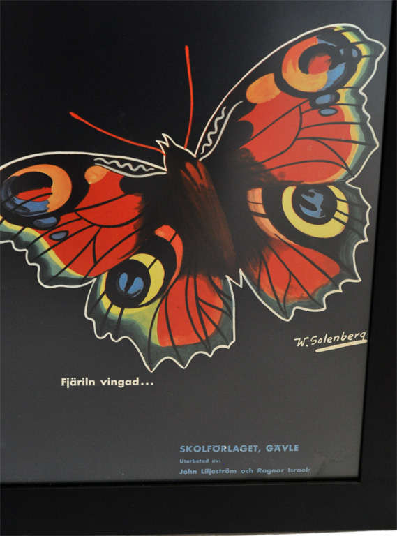 Framed Vintage Biology Charts 1