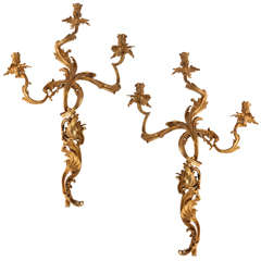 Fine Pair of French Mid 19th Century Louis XV Style Ormolu Three Arm Sconces