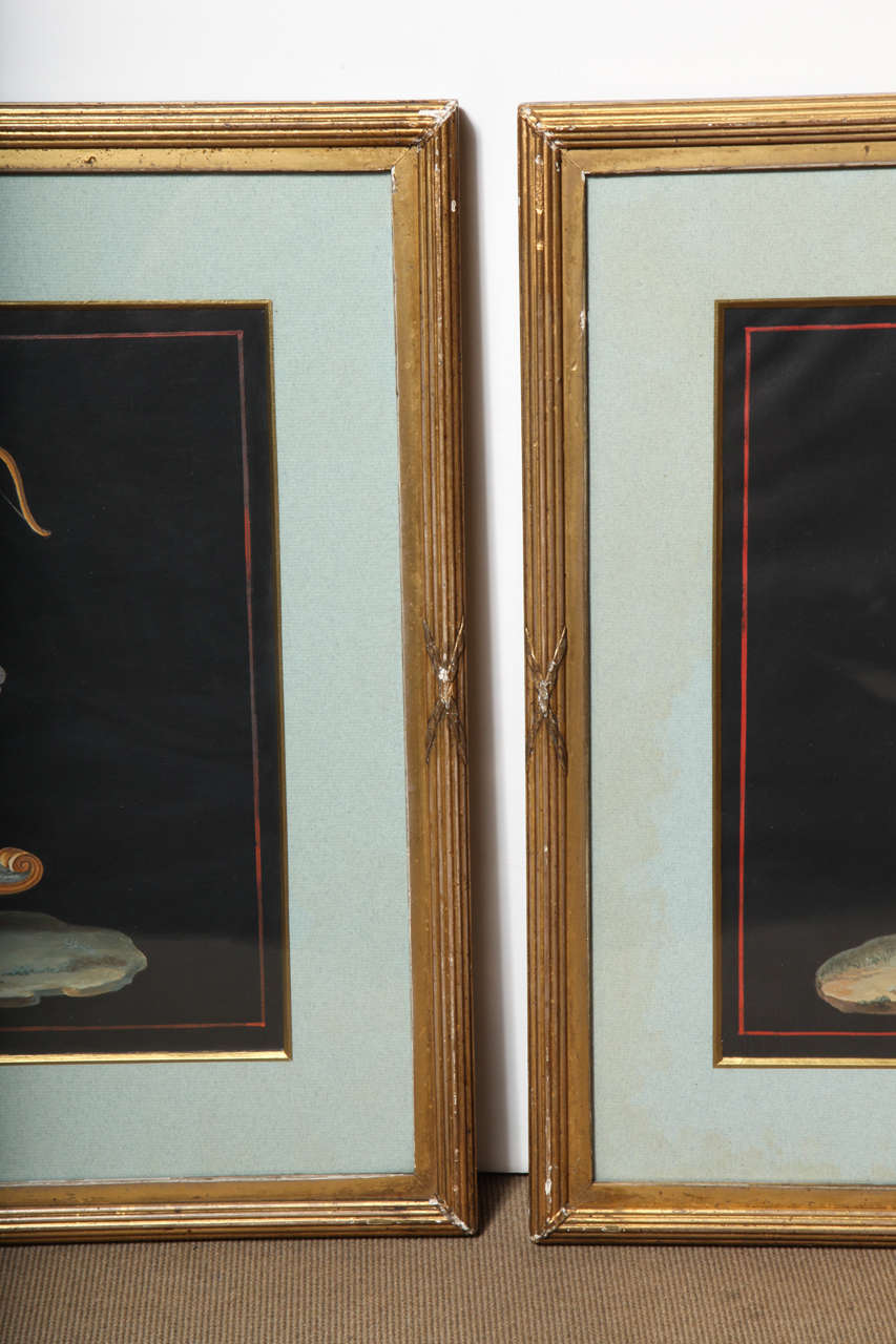 Pair of 19th Century Gouache For Sale 2