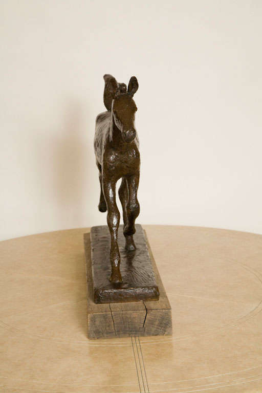 Norwegian Bronze Foal Sculpture by Skule Waksvic