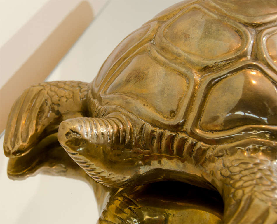 Giant Large Decorative Brass Turtle 2