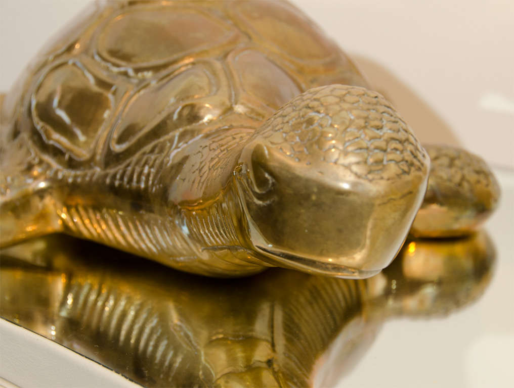 Giant Large Decorative Brass Turtle 3