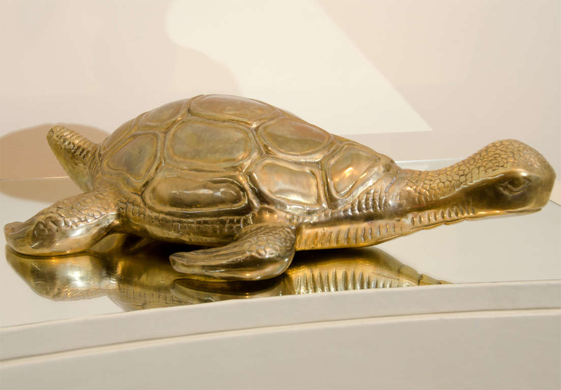 Giant Large Decorative Brass Turtle 4