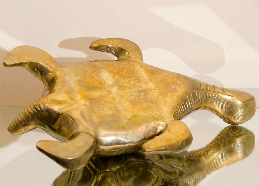 Giant Large Decorative Brass Turtle 5