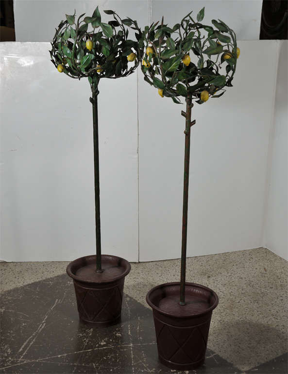 Pair mid century lemon trees in tole from Italy.