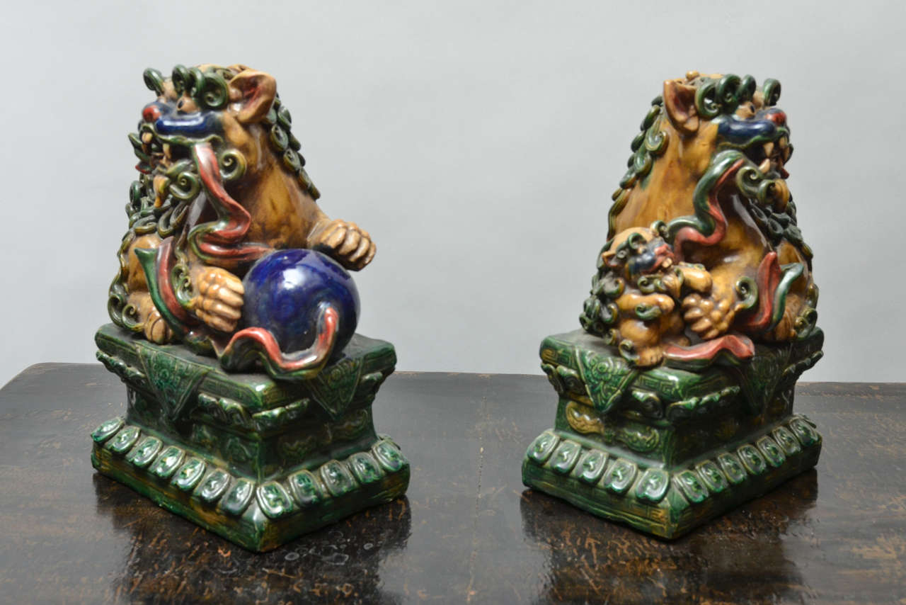 Pair of Foo Dogs In Excellent Condition In East Hampton, NY