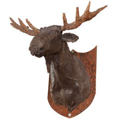 Moose Head Made of Fiberglass