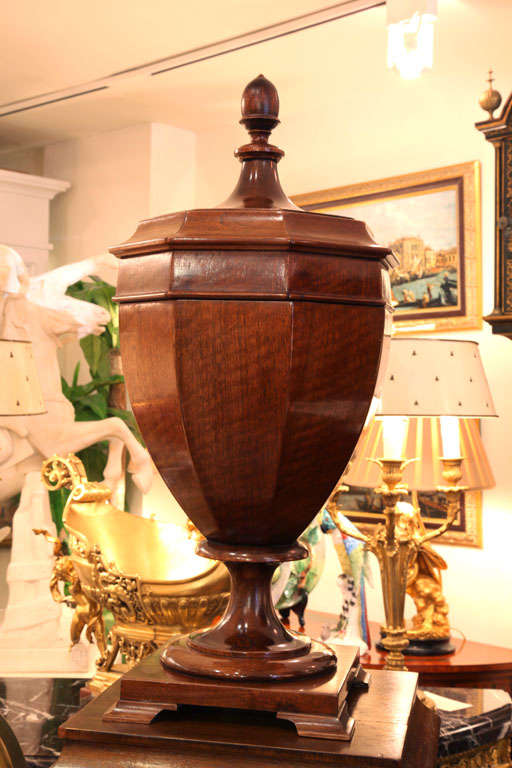 Wood 19th Century Pair of English Mahogany Lidded Urns on Pedestals