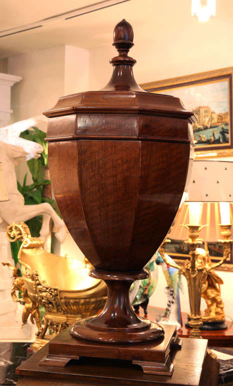 19th Century Pair of English Mahogany Lidded Urns on Pedestals 1