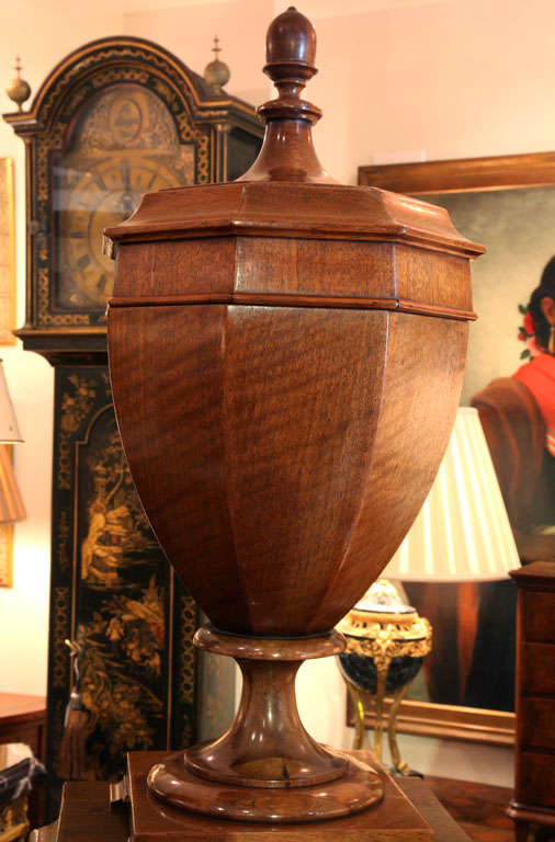 19th Century Pair of English Mahogany Lidded Urns on Pedestals 2