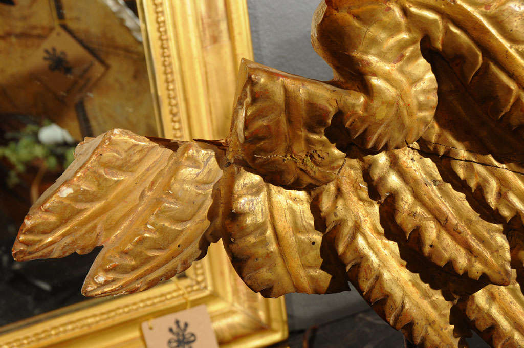 18th Century Italian Angel Wing Lamps 6