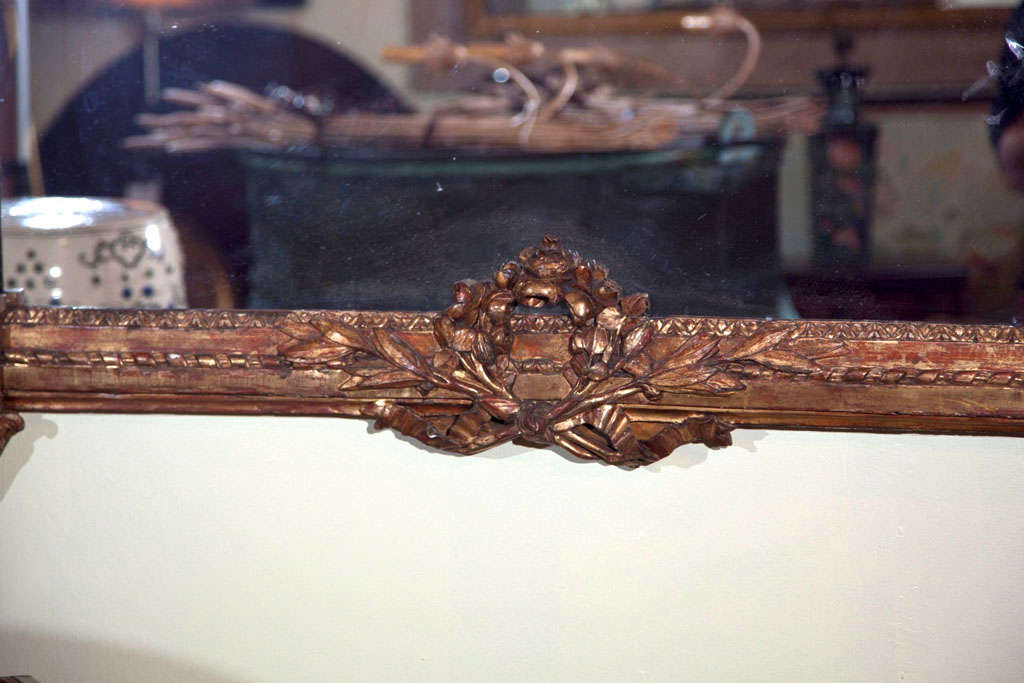 18th Century and Earlier Impressive Palatial Size Italian  Mirror