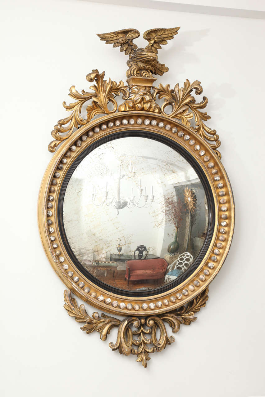 A rare large English Regency style convex mirror, the mercury silvered convex glass with crazing and oxidation associated with age surrounded by black carved molding and framed by gilt frame with molded edge having round gilt balls between inner and