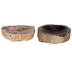 Antique Pair of Petrified Wood Bowls