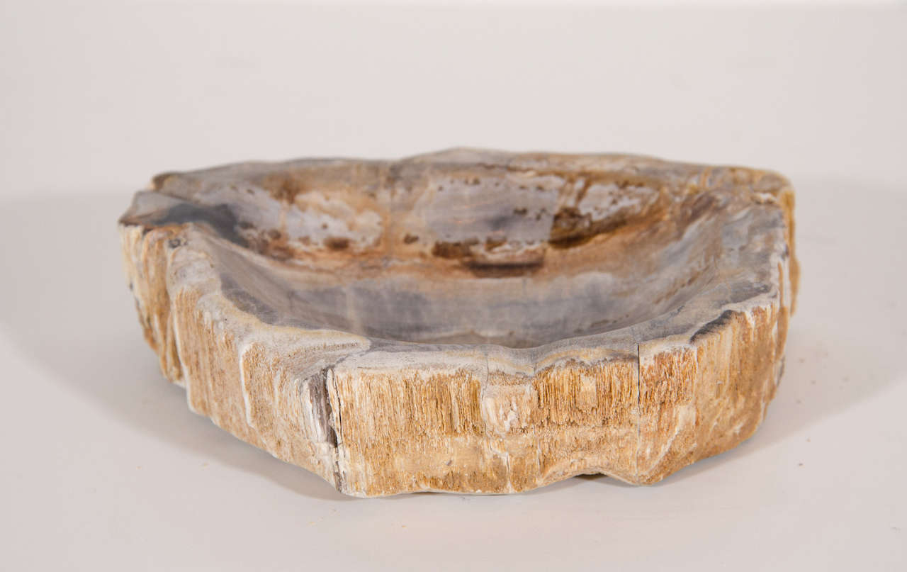 Garden Age Supply Petrified Wood Bowl Set of 2 main image 1