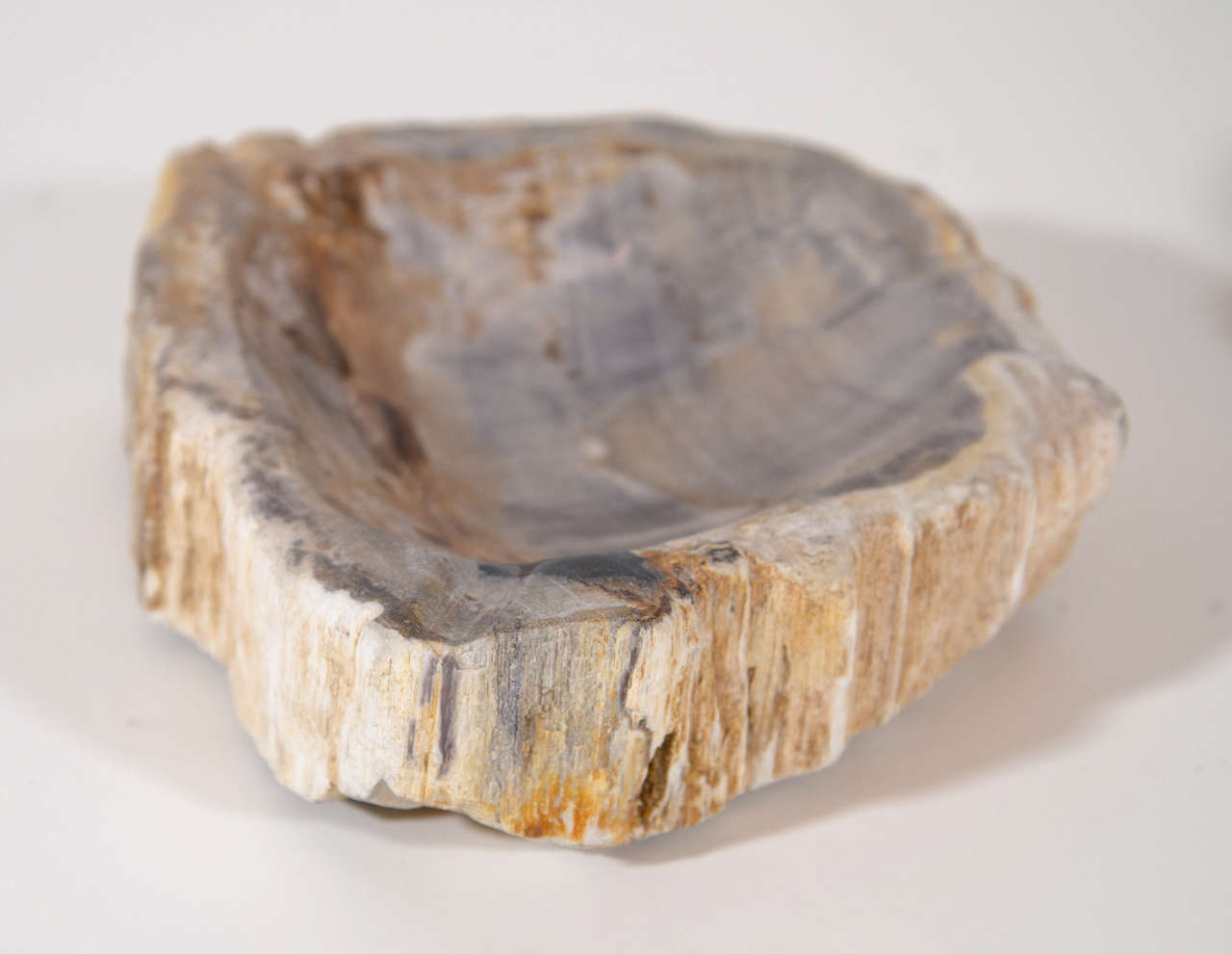 Pair of Petrified Wood Bowls at 1stDibs