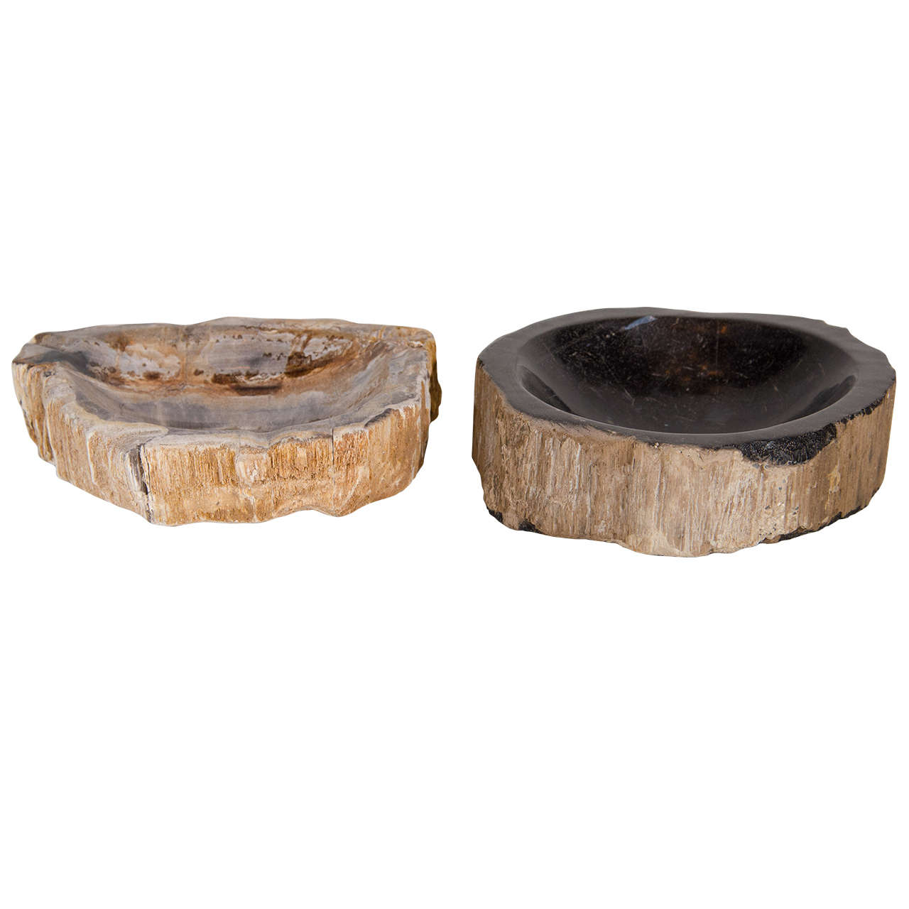 Pair of Petrified Wood Bowls at 1stDibs