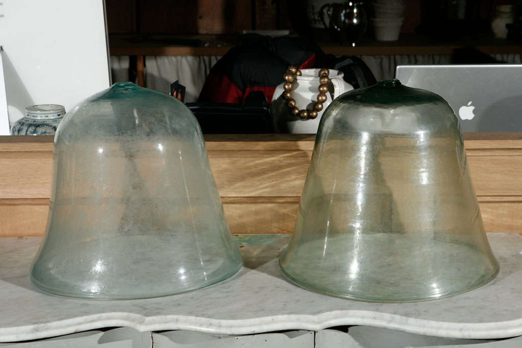 Glass French Garden Cloche. Sold individually.