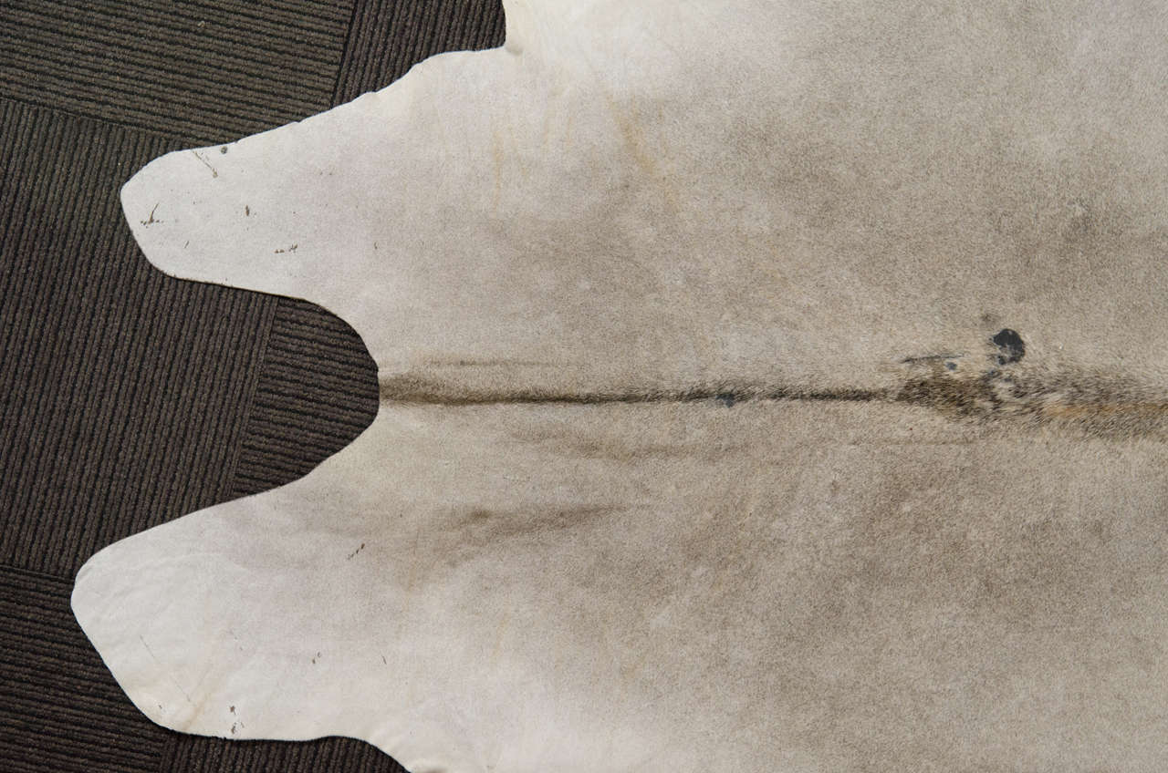 Vintage Cowhide Rug at 1stDibs