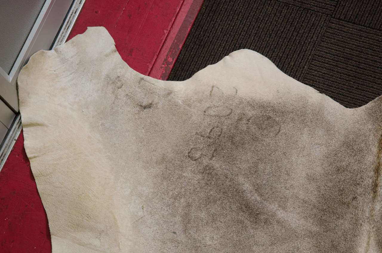 Vintage Cowhide Rug at 1stDibs
