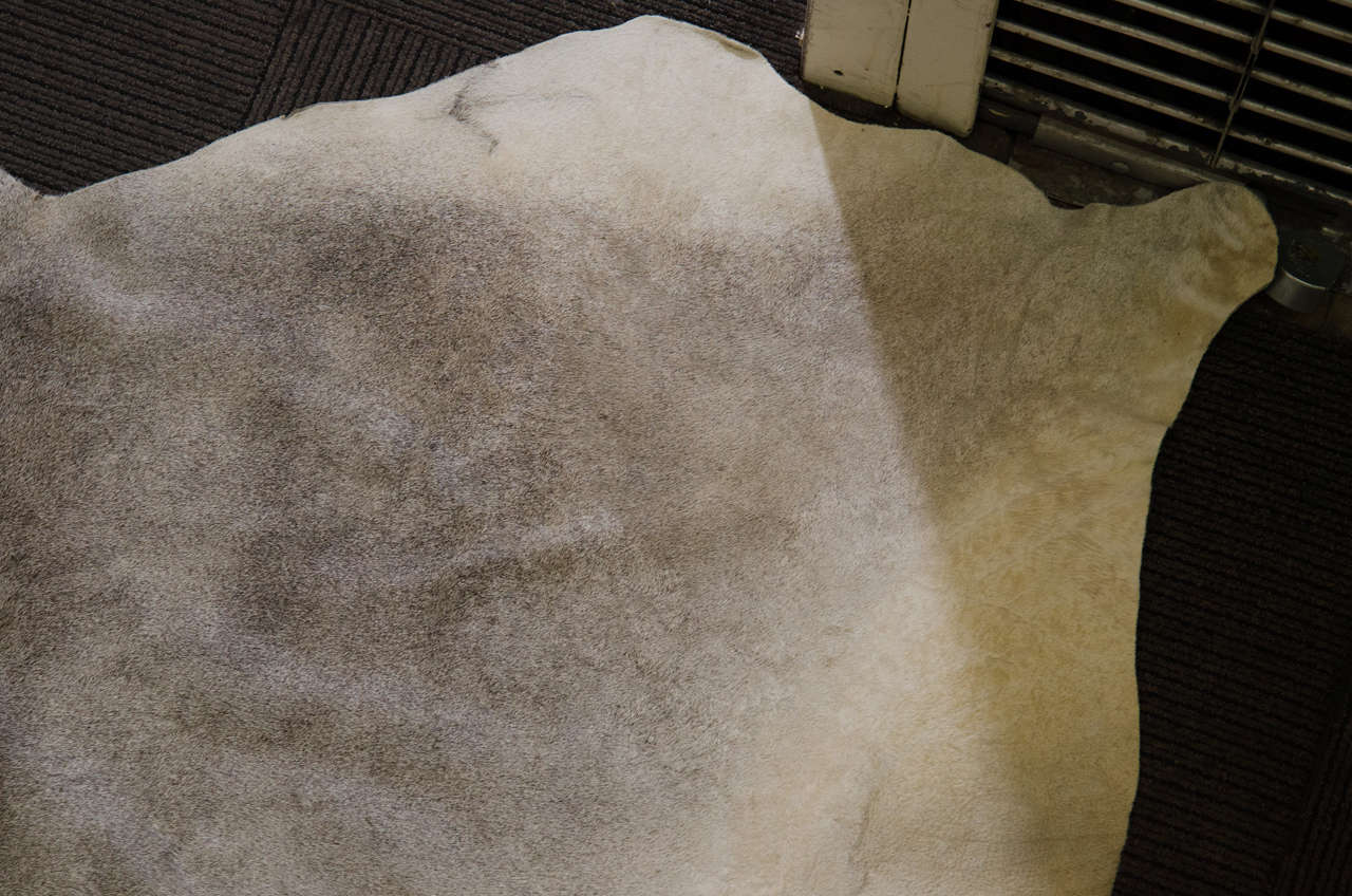 Vintage Cowhide Rug at 1stDibs