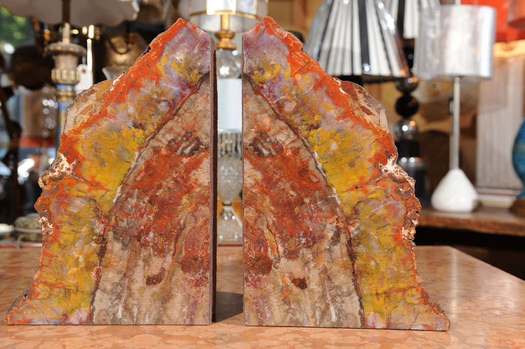 Petrified Wood Bookends In Excellent Condition In San Francisco, CA