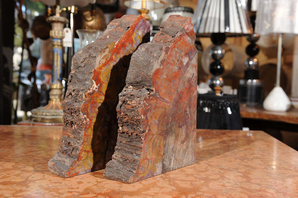 18th Century and Earlier Petrified Wood Bookends