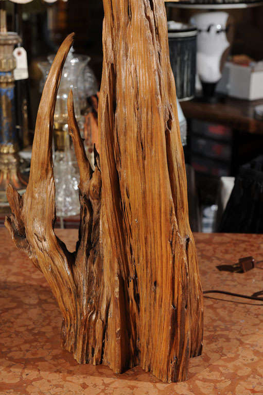Wood Driftwood Table Lamp