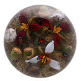 Gordon Smith Trillium And Ladybug Paperweight