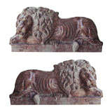 Magnificent Solid Marble Lions Almost Life Size