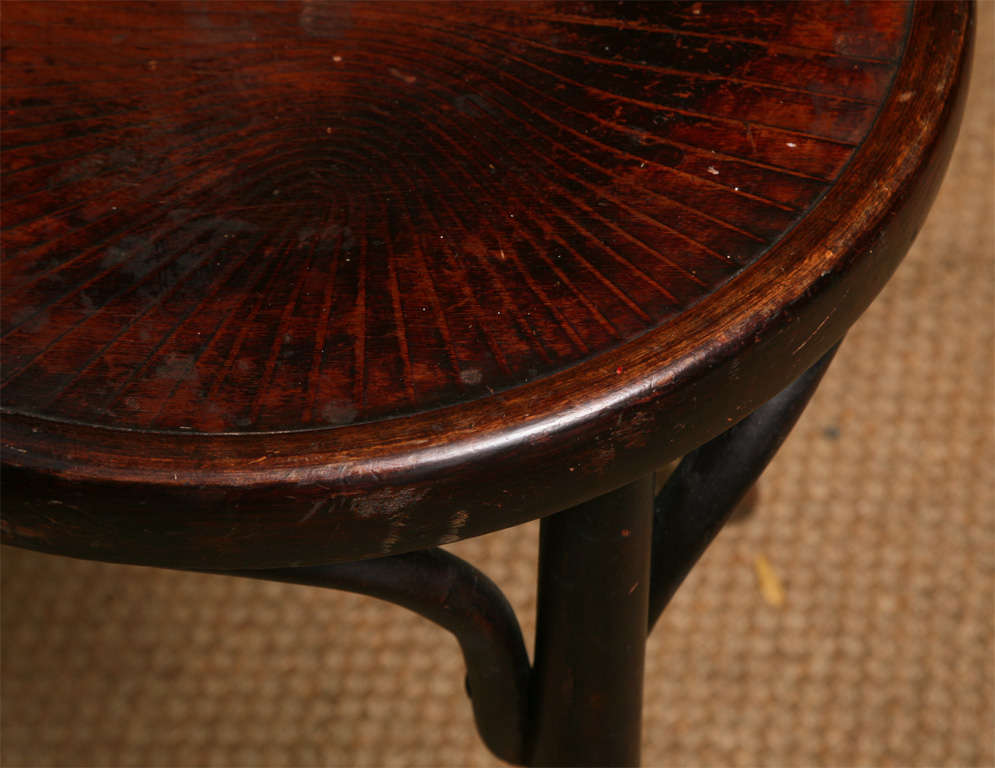 Czech Set of 20 Bentwood Chairs by Fischel