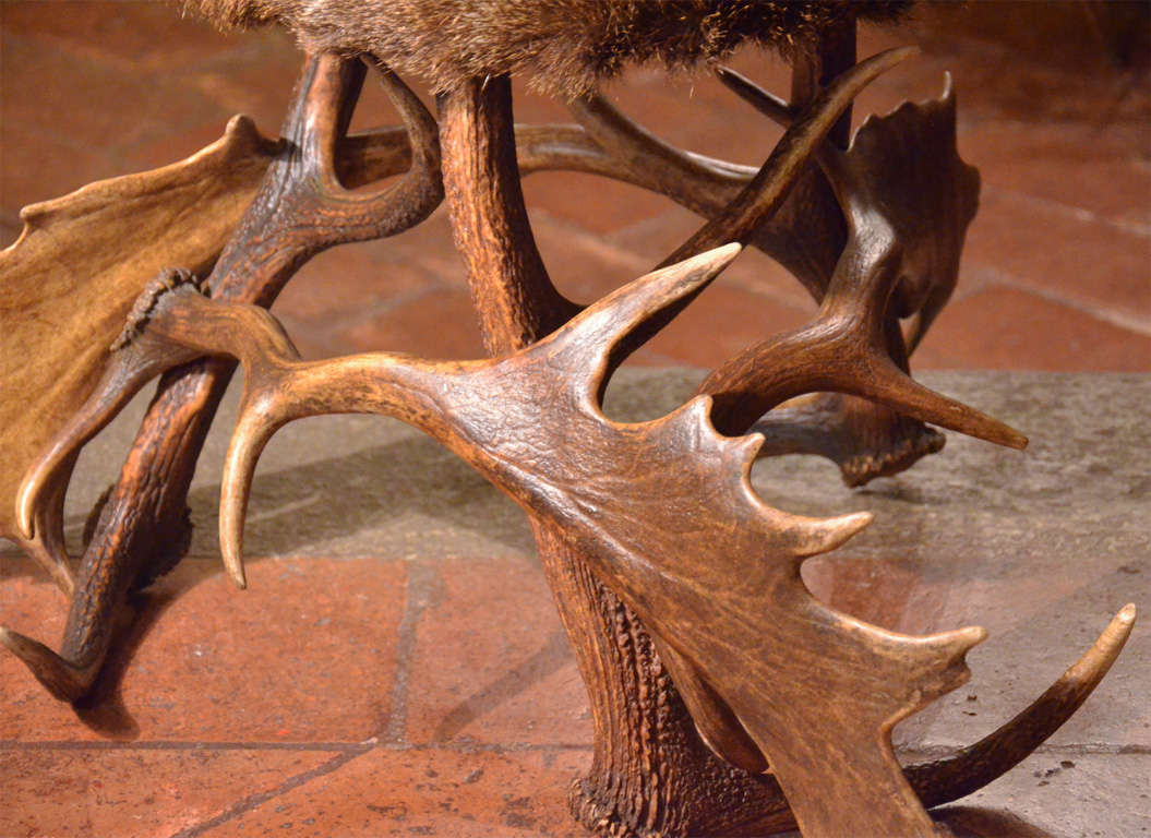 Black Forest Stag Horn Chair And Two Elk Horn Stools.