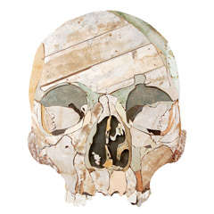 Skull by  Diederick Kraaijeveld