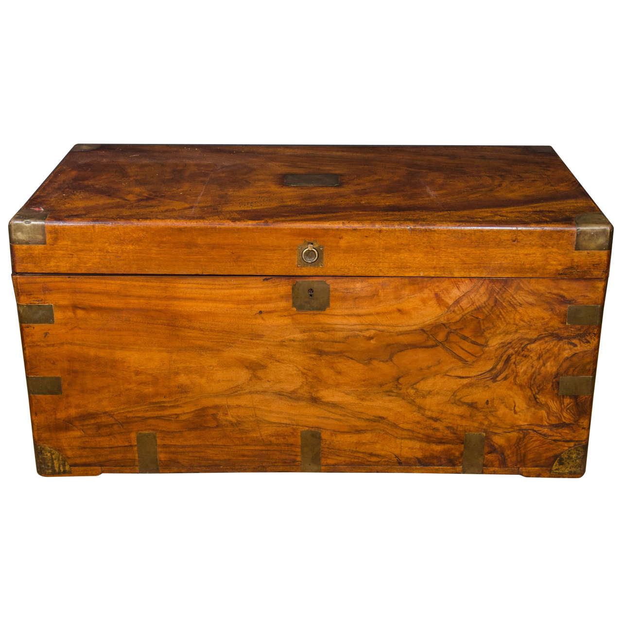A Large Chinese Export Camphorwod Sea Chest or Campaign Trunk For Sale