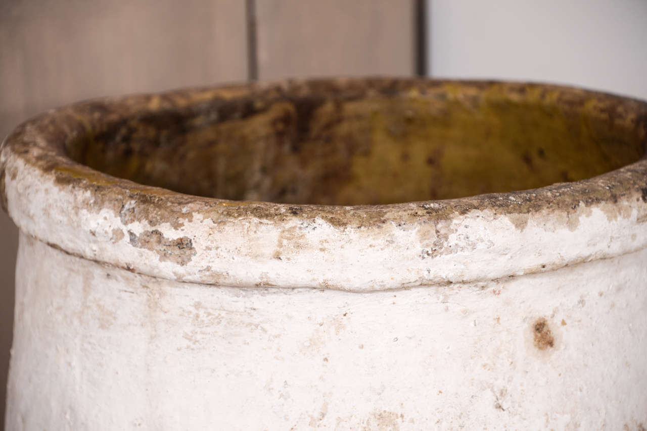 Terracotta Large 19th Century Greek Olive Jar