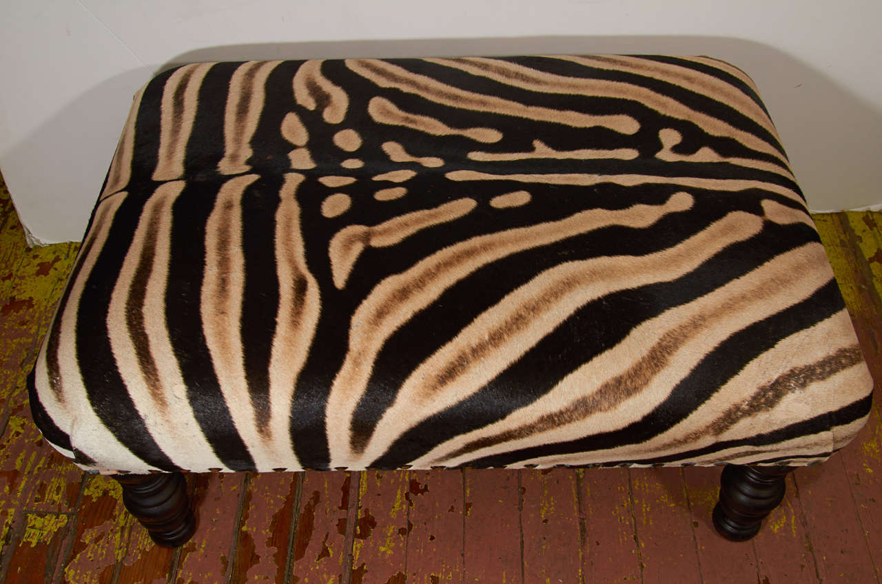 African Zebra Skin Ottoman at 1stDibs