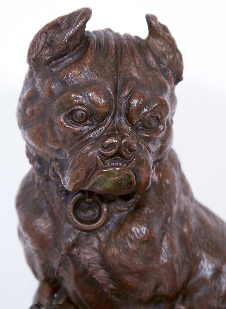 Austrian Antique Bronze Humidor in the Shape of a Bulldog