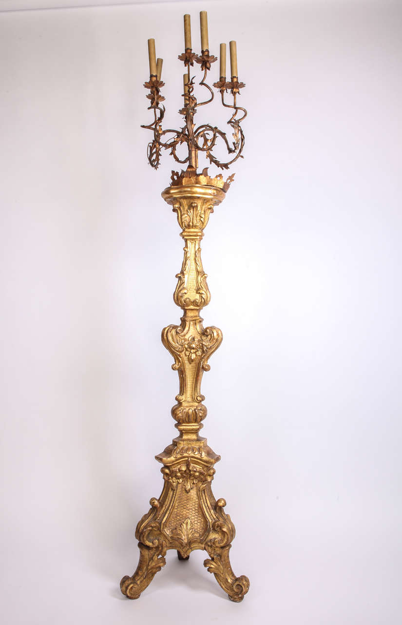 A fine Italian early 18th century giltwood torchiere on triform base carved on the front side, with seven scrolled gilt-metal candle arms.
 Measures: 215 x 45 cm.