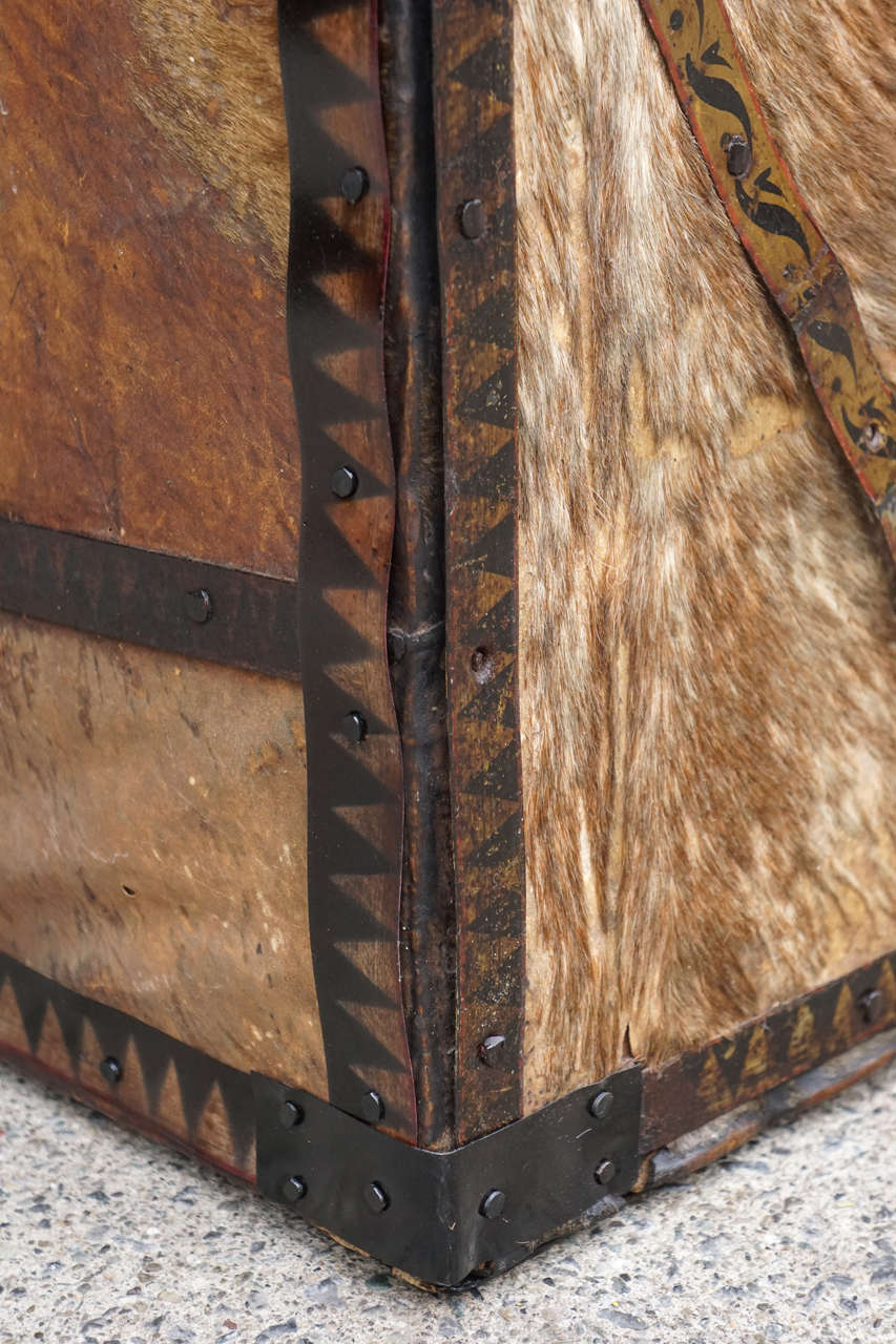 American19th Century Pony Skin and Tole Metal Banded Trunk In Good Condition In Hudson, NY