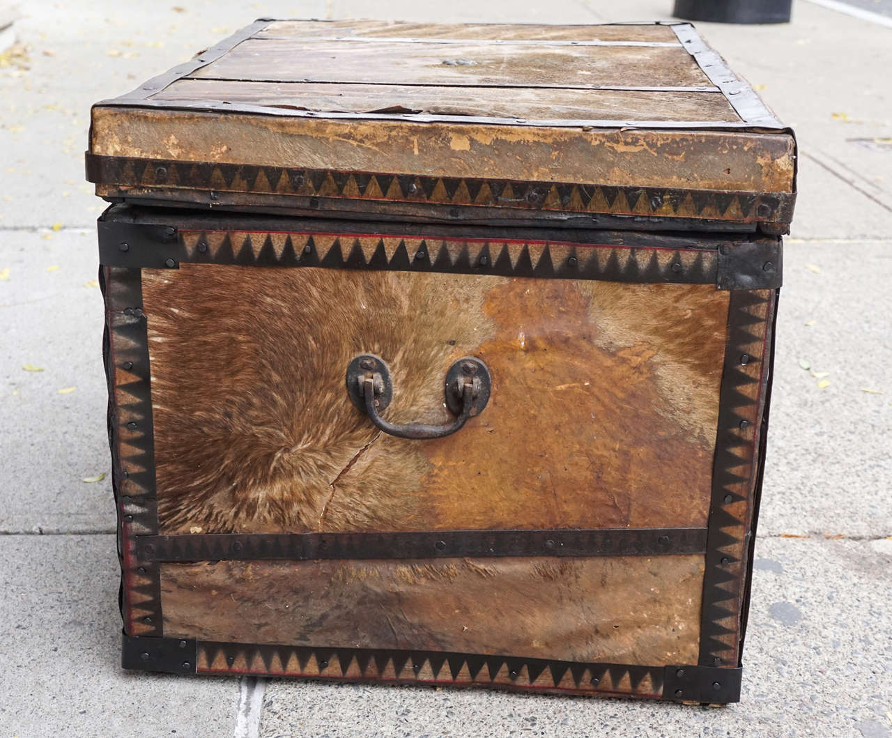 American19th Century Pony Skin and Tole Metal Banded Trunk 1