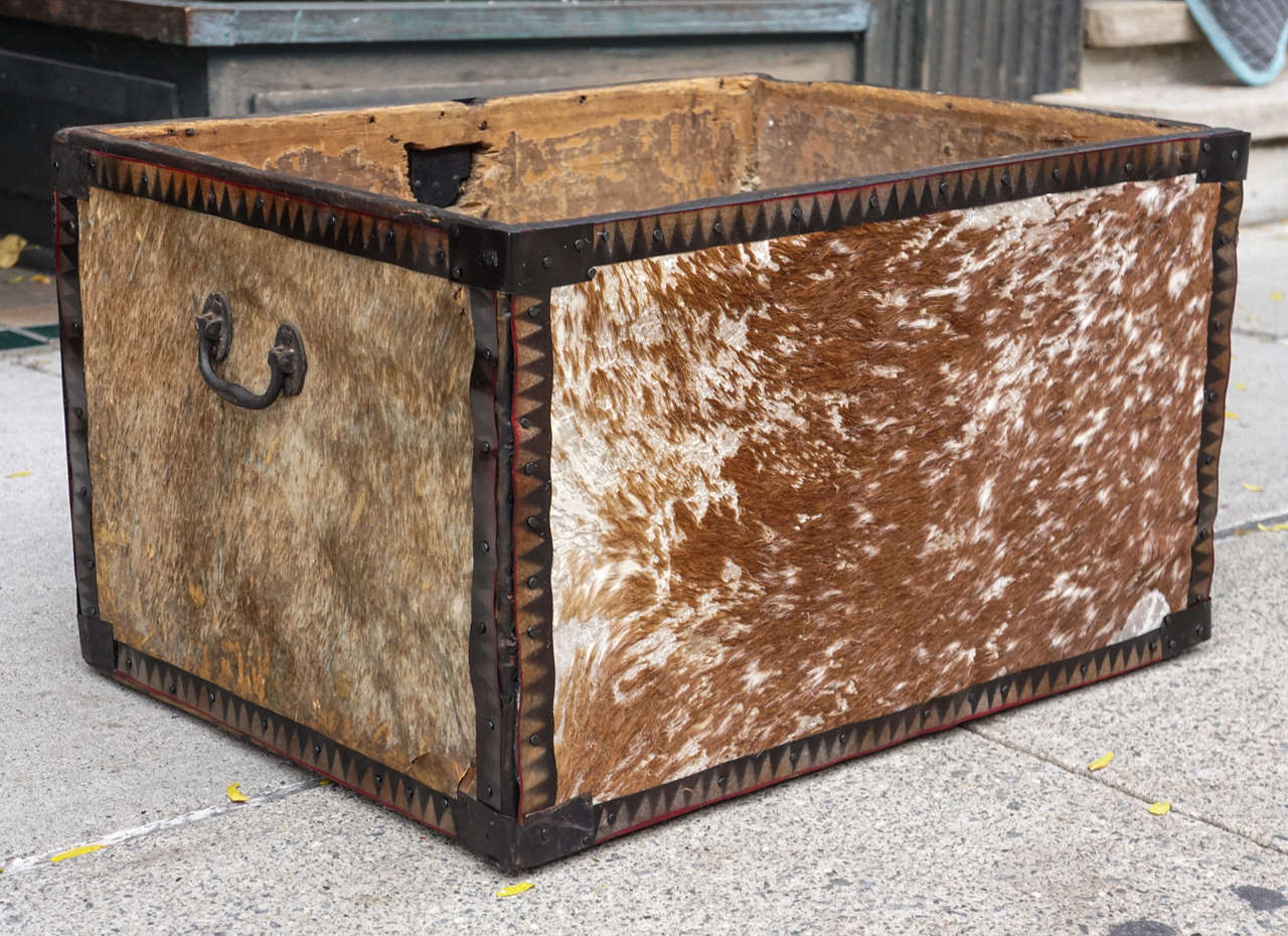 American19th Century Pony Skin and Tole Metal Banded Trunk 4