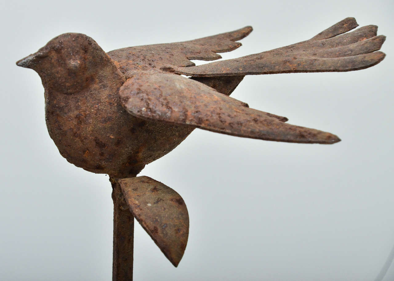 Pair of Anglo-Indian Iron Candleholders 3