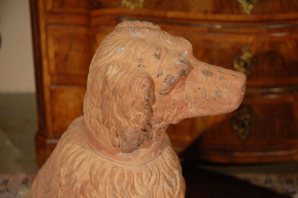 Cast Life Size, 19th Century, Terracotta Poodles For Sale